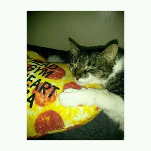 Meet your Posher, Autumm